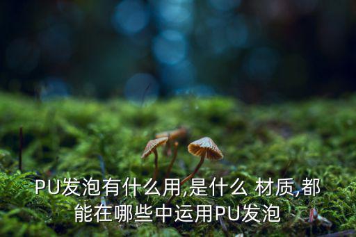 PU發(fā)泡有什么用,是什么 材質(zhì),都能在哪些中運(yùn)用PU發(fā)泡