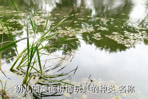 幼兒園器材名稱大全集,這些幼兒園器官還不成熟!