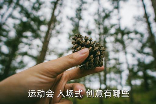  運動會 入場式 創(chuàng)意有哪些