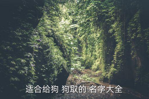 給狗狗取一個(gè)好聽的名字,狗狗名字也要講究諧音避免重名尷尬