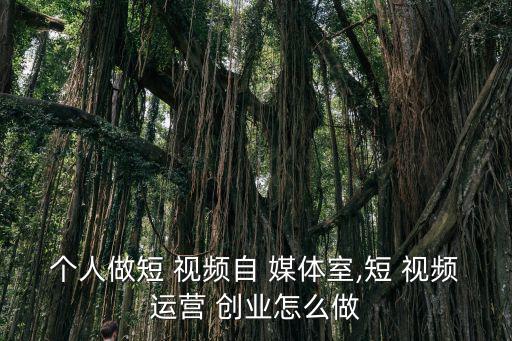 個人做短 視頻自 媒體室,短 視頻運營 創(chuàng)業(yè)怎么做