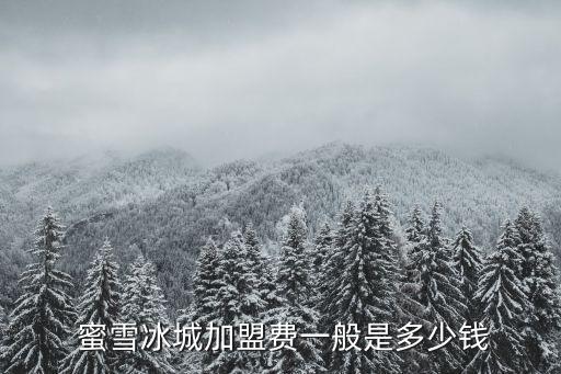  蜜雪冰城加盟費一般是多少錢