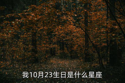 我10月23生日是什么星座