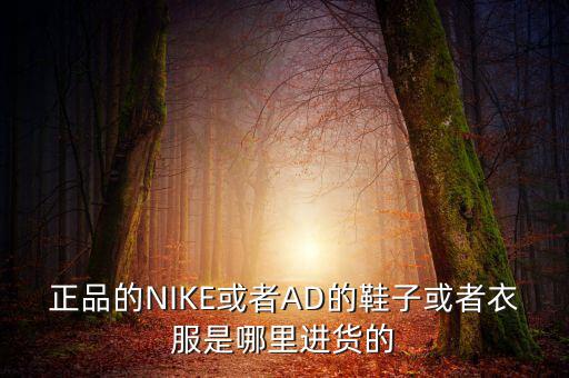 正品的NIKE或者AD的鞋子或者衣服是哪里進(jìn)貨的