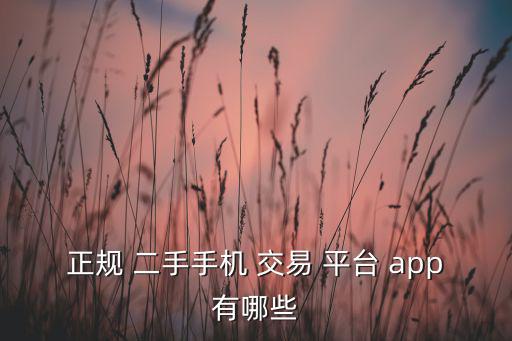 正規(guī) 二手手機 交易 平臺 app有哪些