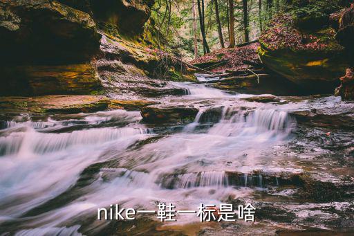 nike一鞋一標(biāo)是啥