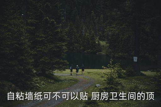 自粘墻紙可不可以貼 廚房衛(wèi)生間的頂