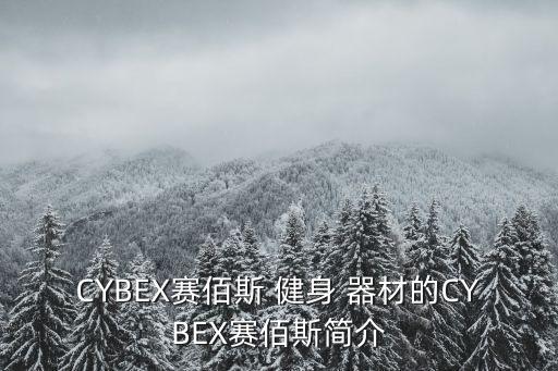 CYBEX賽佰斯 健身 器材的CYBEX賽佰斯簡介