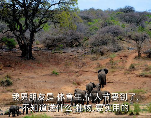 體育用品系列禮物有什么,適合兄弟的生日禮物包括籃球和足球