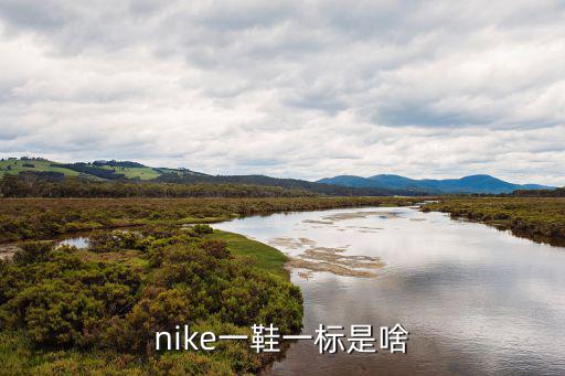 nike一鞋一標(biāo)是啥