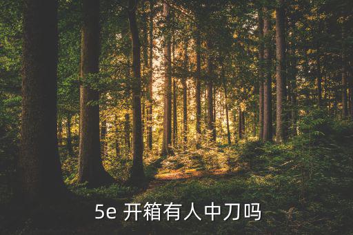 5e開箱網(wǎng)站,5e戰(zhàn)斗平臺(tái)大廳右側(cè)背包發(fā)現(xiàn)神秘寶箱