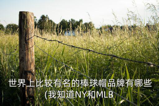  世界上比較有名的棒球帽品牌有哪些(我知道NY和MLB