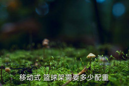 各種籃球架,怎么買籃球架最好?籃球移動(dòng)箱最適合