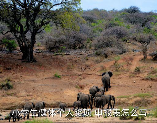  小學(xué)生健體個人獎項 申報表怎么寫