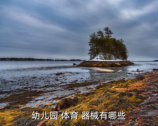 幼兒園 體育 器械有哪些