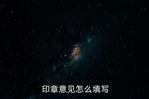  印章意見怎么填寫