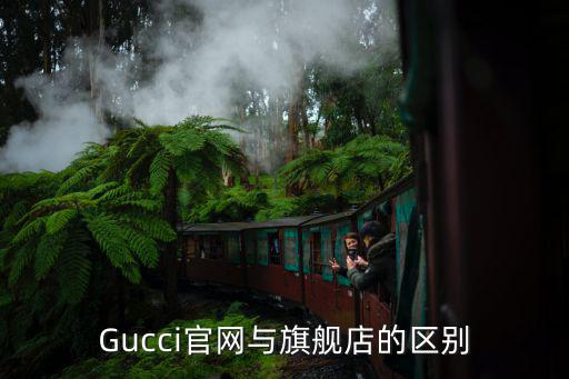 Gucci官網(wǎng)與旗艦店的區(qū)別