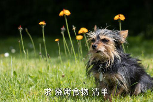 燒烤食材清單大全表肉食,家庭燒烤怎么做最好吃!