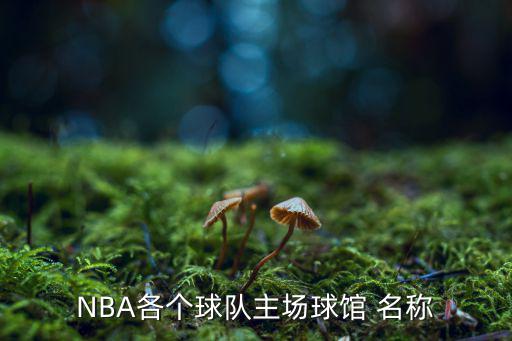 NBA各個球隊(duì)主場球館 名稱