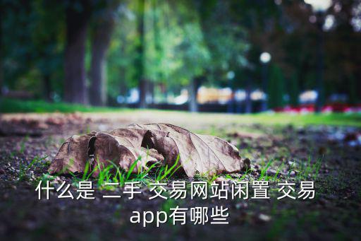 什么是 二手 交易網(wǎng)站閑置 交易 app有哪些