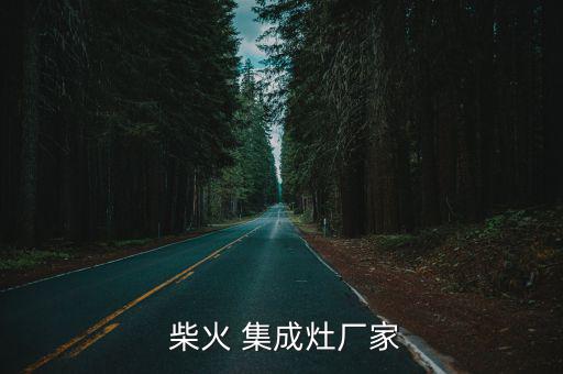  柴火 集成灶廠家