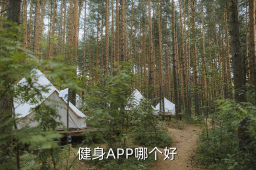 健身房器械訓(xùn)練app,推出社區(qū)健身app讓你邊跑邊拍照