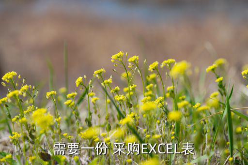 需要一份 采購EXCEL表