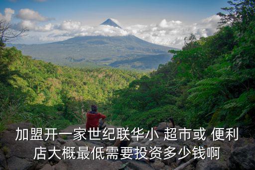 加盟開一家世紀聯(lián)華小 超市或 便利店大概最低需要投資多少錢啊