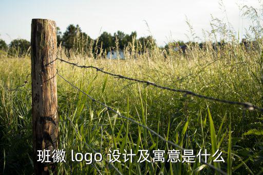 著名logo設(shè)計案例,班徽設(shè)計不同意味著什么?