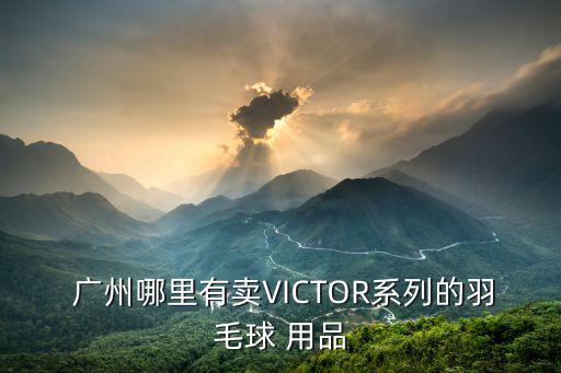  廣州哪里有賣VICTOR系列的羽毛球 用品