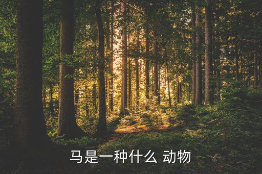 馬是一種什么 動物