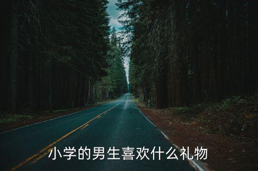 小學的男生喜歡什么禮物