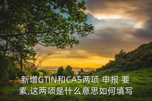 新增GTIN和CAS兩項(xiàng) 申報(bào) 要素,這兩項(xiàng)是什么意思如何填寫