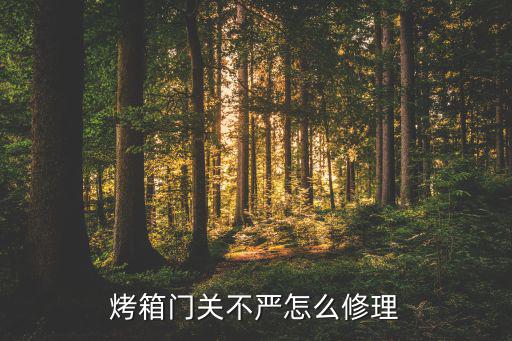 烤箱門關(guān)不嚴(yán)怎么修理