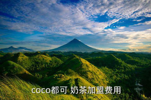  coco都可 奶茶加盟費(fèi)用