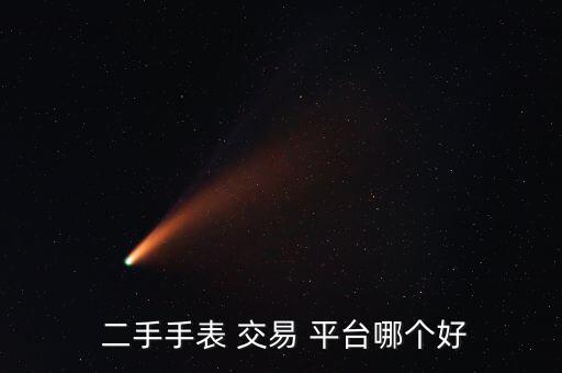  二手手表 交易 平臺哪個好