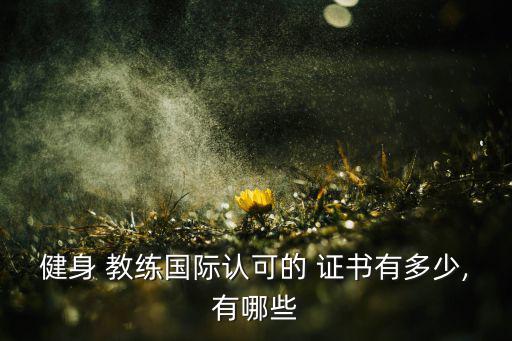 健身 教練國際認(rèn)可的 證書有多少,有哪些