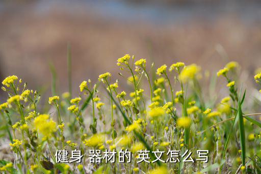 公園健身器材名稱大全英文怎么說,公園里常見的健身器材名稱及圖片