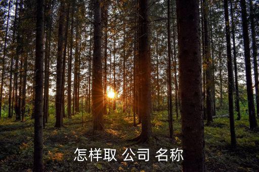 怎么取公司名稱大全集,公司名稱要簡(jiǎn)潔明快易于大眾接受