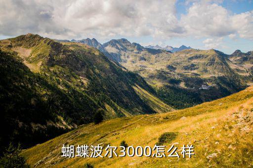  蝴蝶波爾3000怎么樣