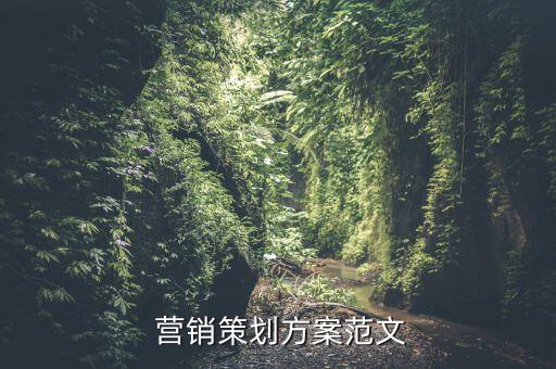 營銷計劃