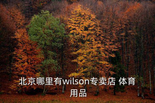 北京哪里有wilson專(zhuān)賣(mài)店 體育 用品