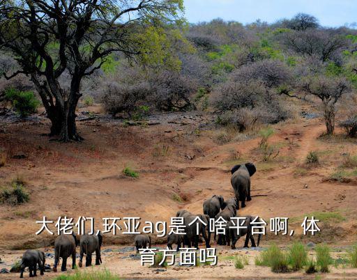 大佬們,環(huán)亞ag是個啥平臺啊, 體育方面嗎