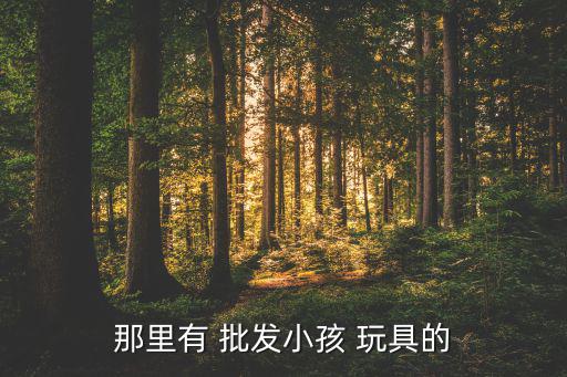 廈門市玩具批發(fā)市場(chǎng),廣州玩具批發(fā)市場(chǎng)哪里最便宜