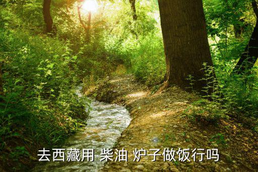 柴油戶外爐子,柴油爐子不點(diǎn)火什么原因