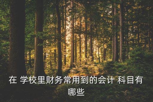 學校夠體育用品入什么科目,有什么體育用品,可以帶到學校