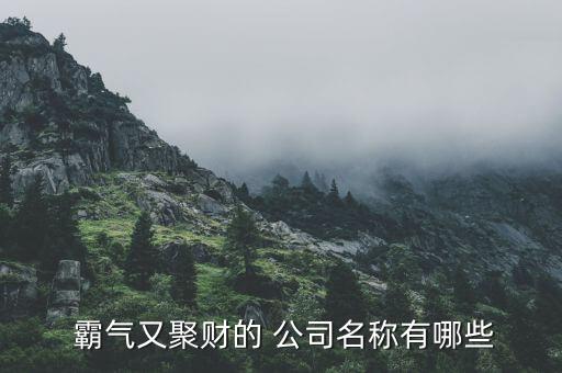 霸氣旺財(cái)兩字公司名字大全