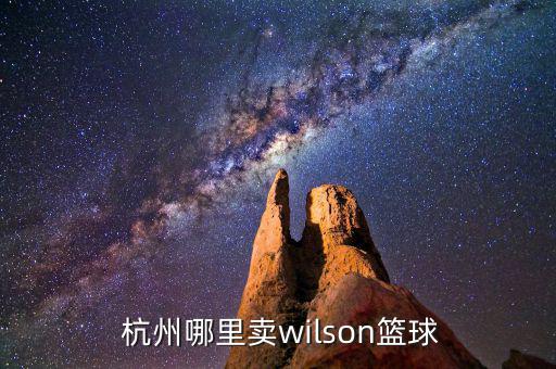  杭州哪里賣wilson籃球