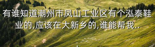 有誰知道潮州市鳳山工業(yè)區(qū)有個泓泰鞋業(yè)的,應(yīng)該在大新鄉(xiāng)的,誰能幫我...