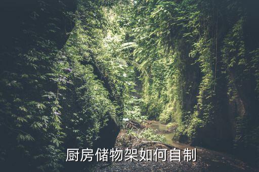  廚房?jī)?chǔ)物架如何自制